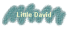 Little David